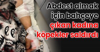 Abdest almak için bahçeye çıkan kadına köpekler saldırdı