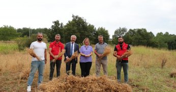 İzmit Belediyesi ilk nohut hasadını yaptı!