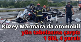 Kuzey Marmara'da otomobil yön tabelasına çarptı: 1 ölü, 4 yaralı