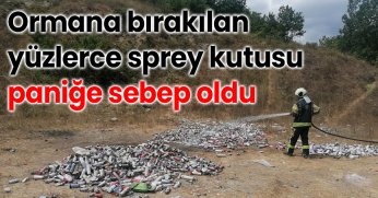 Ormana bırakılan yüzlerce sprey kutusu paniğe sebep oldu