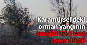 Karamürsel'deki orman yangının enerjisi 22.5 saat sonra düştü