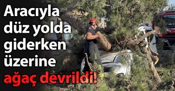 Aracıyla düz yolda giderken üzerine ağaç devrildi!