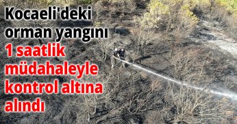  Kocaeli'deki orman yangını 1 saatlik müdahaleyle kontrol altına alındı