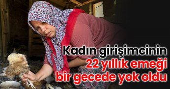 Kadın girişimcinin 22 yıllık emeği bir gecede yok oldu