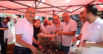 İzmit Belediyesinden vatandaşlara fide hediyesi