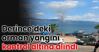 Derince’deki Orman Yangını Kontrol Altına Alındı