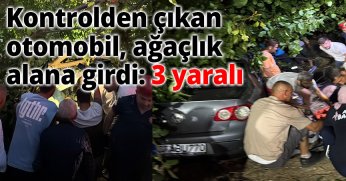 Kontrolden çıkan otomobil, ağaçlık alana girdi: 3 yaralı