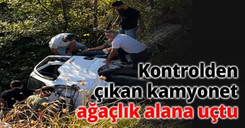 Kontrolden çıkan kamyonet ağaçlık alana uçtu
