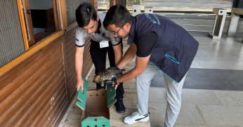 Yorgun ördeğin yardımına Büyükşehir yetişti