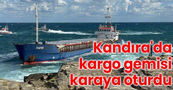 Kandıra'da kargo gemisi karaya oturdu