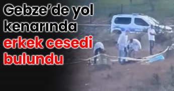  Yol kenarında erkek cesedi bulundu
