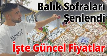 Balık Sofraları Şenlendi: İşte Güncel Fiyatlar