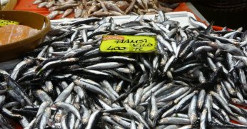 Fiyatlar düştü, ekimde bolluk bekleniyor