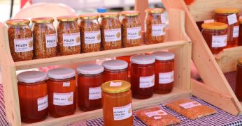 İzmit Bal Günleri başladı