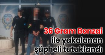 36 Gram Bonzai ile Yakalanan Şüpheli Tutuklandı