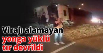 Virajı alamayan yonga yüklü tır devrildi
