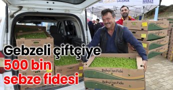 Gebzeli çiftçiye 500 bin sebze fidesi