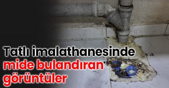 Tatlı imalathanesinde mide bulandıran görüntüler