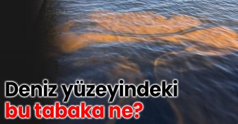 Deniz yüzeyindeki bu tabaka ne?