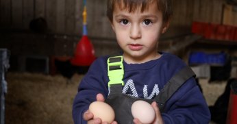 Hibeli Tavuk Projesi Köylünün Yüzünü Güldürdü