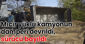 Mıcır yüklü kamyonun damperi devrildi, sürücü bayıldı