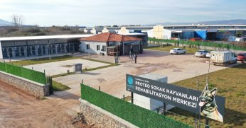 Proteo Sokak Hayvanları Rehabilitasyon Merkezi 5 Dönüm Daha Genişliyor