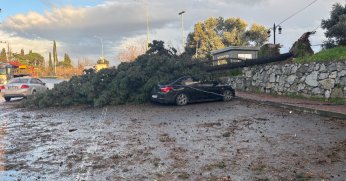 Gebze'de fırtınada iki otomobilin üzerine ağaç devrildi