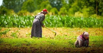 Kocaeli’de kooperatif ve birliklere yüzde 75 hibe desteği yeniden devrede
