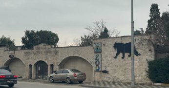 Darıca Hayvanat Bahçesi Faaliyetlerine Son Verdi, Hayvanlar Başka Şehirlere Taşındı