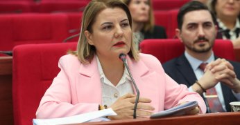 Fatma Başkan: “İzmit’te sokak hayvanlarına modern yaşam alanı geliyor”