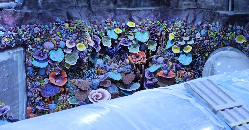 30 farklı akvaryum eşsiz bir gezi yaşatacak