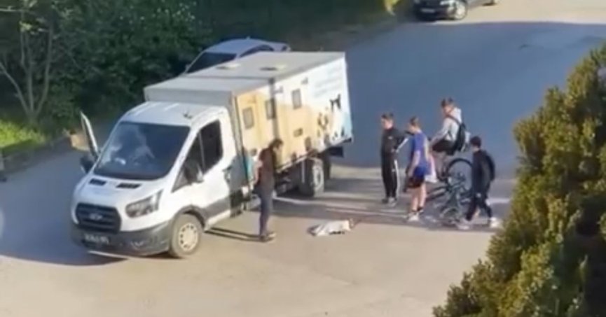  Çocuklar yaralı kedinin üzerini örtüp, başında nöbet tuttu