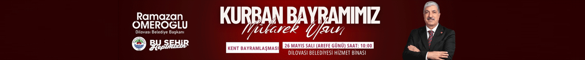 dilovası bel